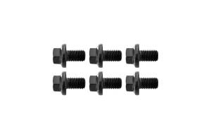 Torque Converter Bolt Pack (6)
