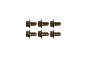 Torque Converter Bolt Pack (6)